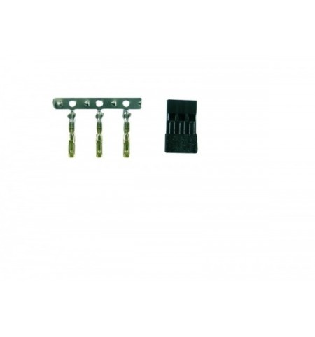 Kit presa d'oro femmina