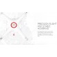DJI Phantom 2 Vision