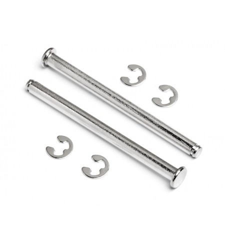 Perni superiori anteriori (2)