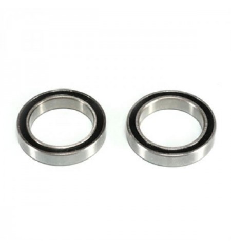 Cuscinetti (15x21x4)