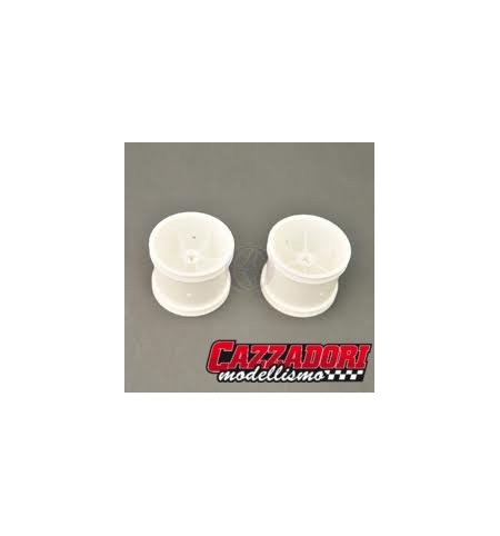 Cerchi TRUGGY SST 1/10 (2 pezzi)