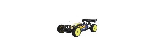 1:8 Buggy